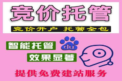 SEM推广代运营实战案例详解